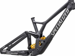 Specialized Downhill·Demo*Demo Race Frameset