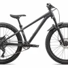 Specialized Dmx / Dirt Jump·P. Series*P.2 Trail