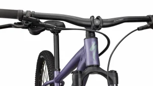 Specialized Cross Country·Rockhopper | Trail·Rockhopper*Rockhopper Comp